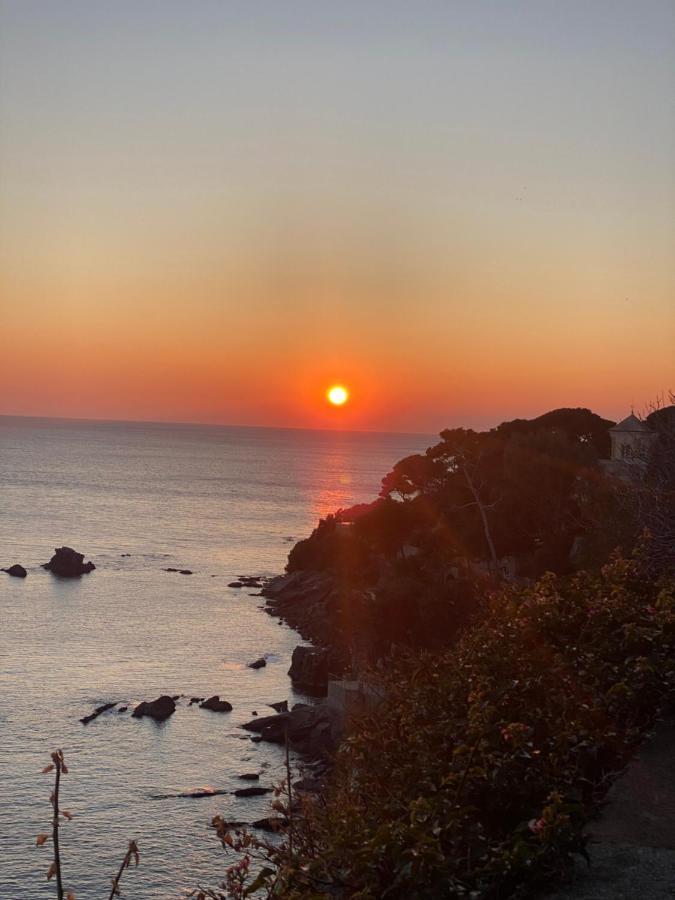 Bogliasco Wine Loft Apartment Luaran gambar
